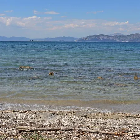 Drace 10135a * Janjina